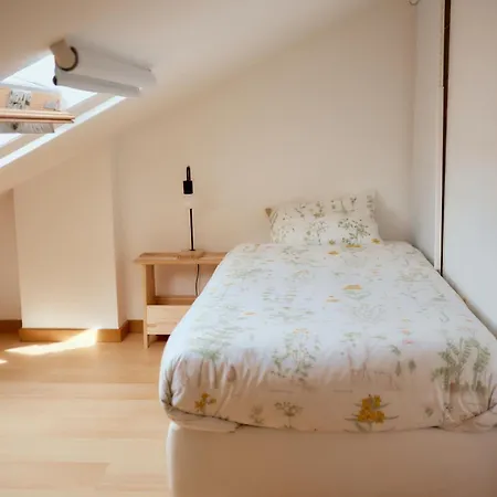 Baleal Gliding Ferrel (Leiria)